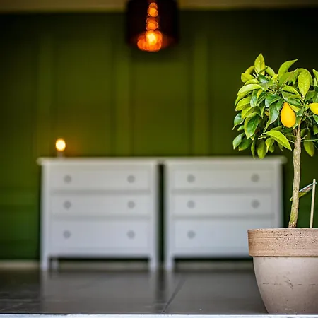 Yst Family Center & Restaurant 招待所 *